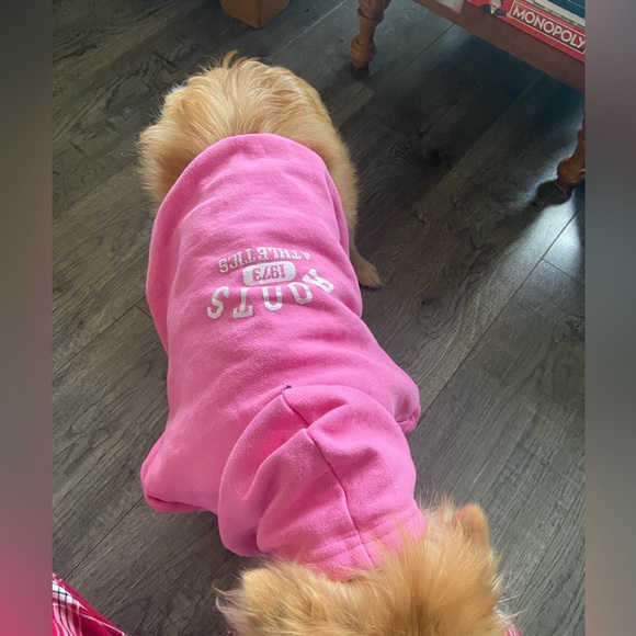pink roots dog hoodie - Picture 5 of 5